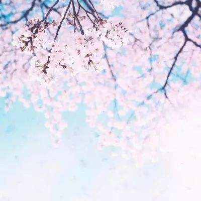 星空体育APP下载手机版